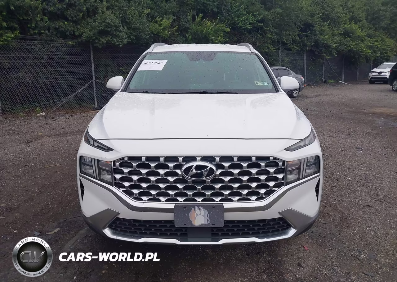 2022 Hyundai Santa Fe Sel VIN:5NMS2DAJ1NH396979 - 11