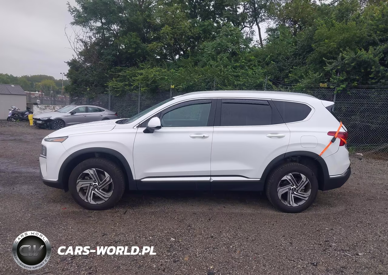 2022 Hyundai Santa Fe Sel VIN:5NMS2DAJ1NH396979 - 13