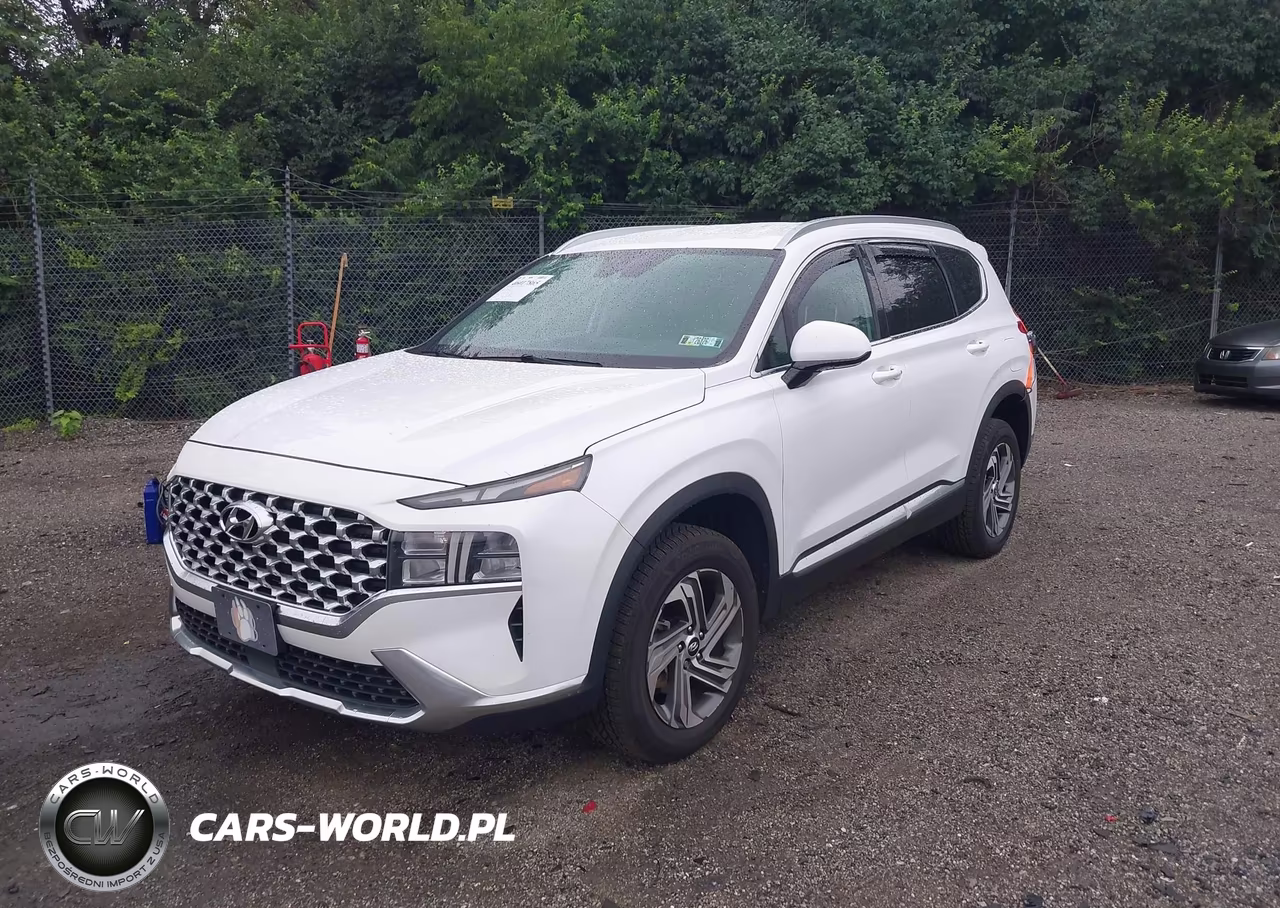 2022 Hyundai Santa Fe Sel VIN:5NMS2DAJ1NH396979 - 2