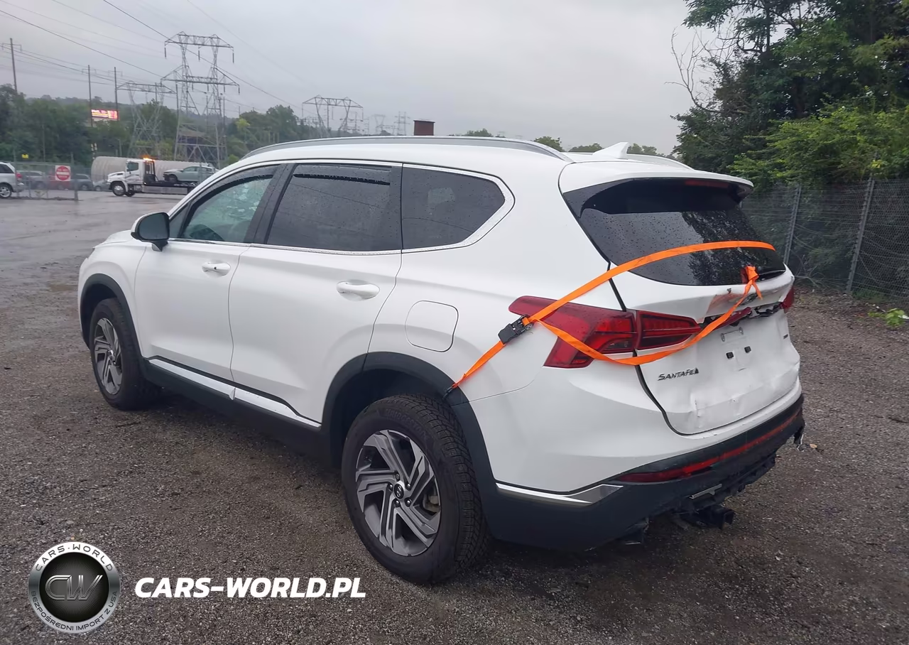 2022 Hyundai Santa Fe Sel VIN:5NMS2DAJ1NH396979 - 3