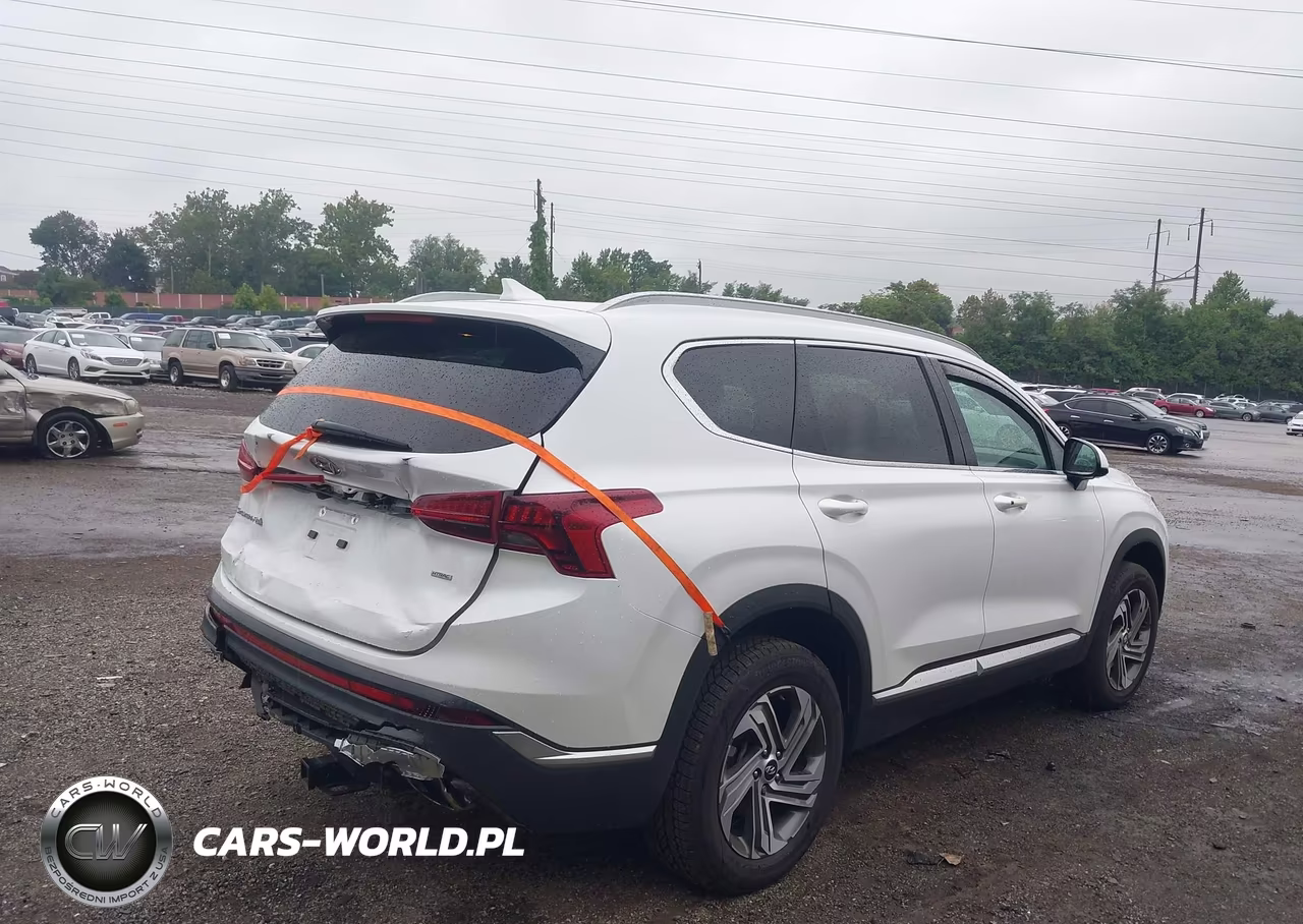 2022 Hyundai Santa Fe Sel VIN:5NMS2DAJ1NH396979 - 4
