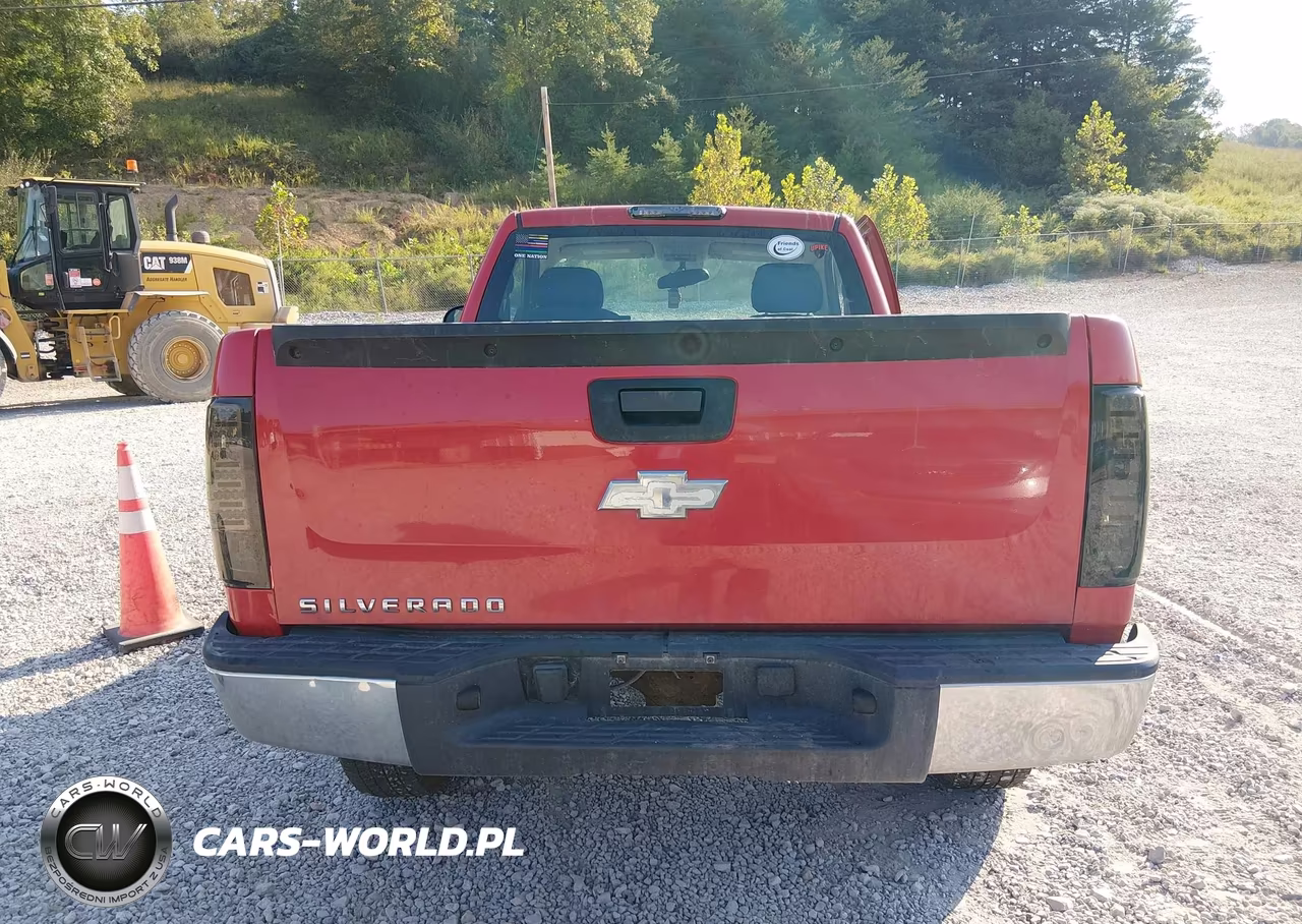 2007 Chevrolet Silverado 1500 Work Truck VIN:1GCEC14X67Z628354 - 17