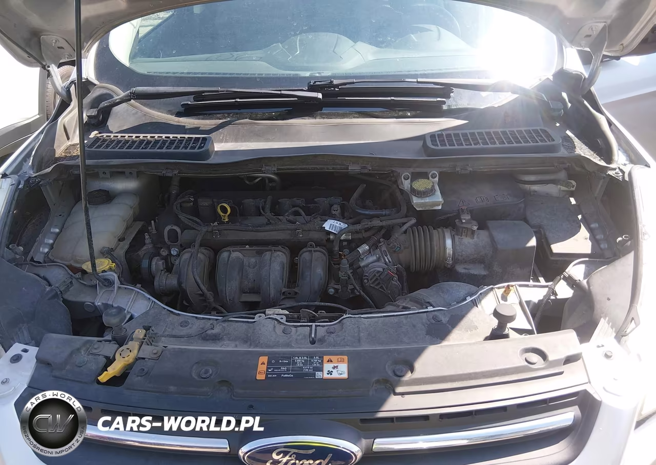 2016 Ford Escape Se VIN:1FMCU0G77GUC39998 - 10