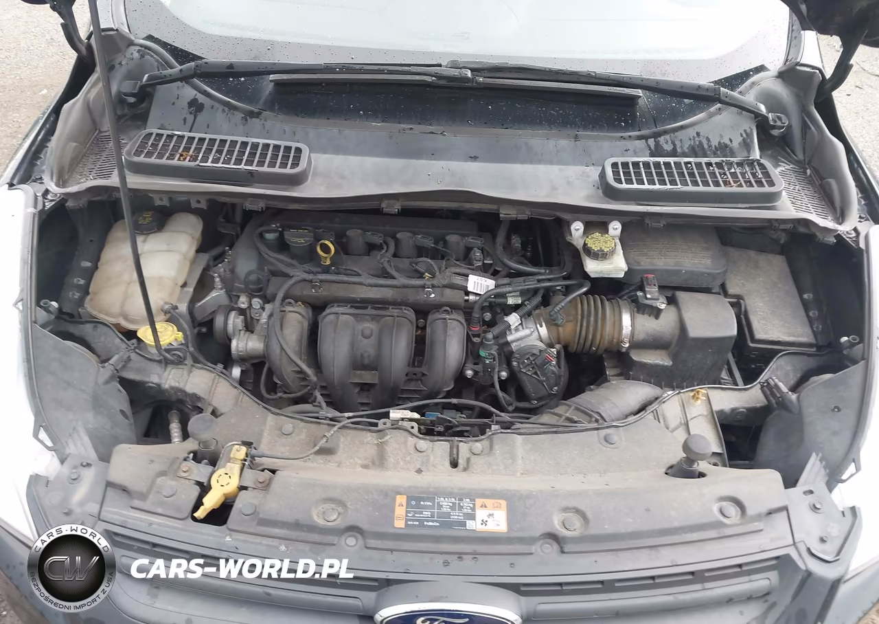 2014 Ford Escape S VIN:1FMCU0F73EUB94945 - 10