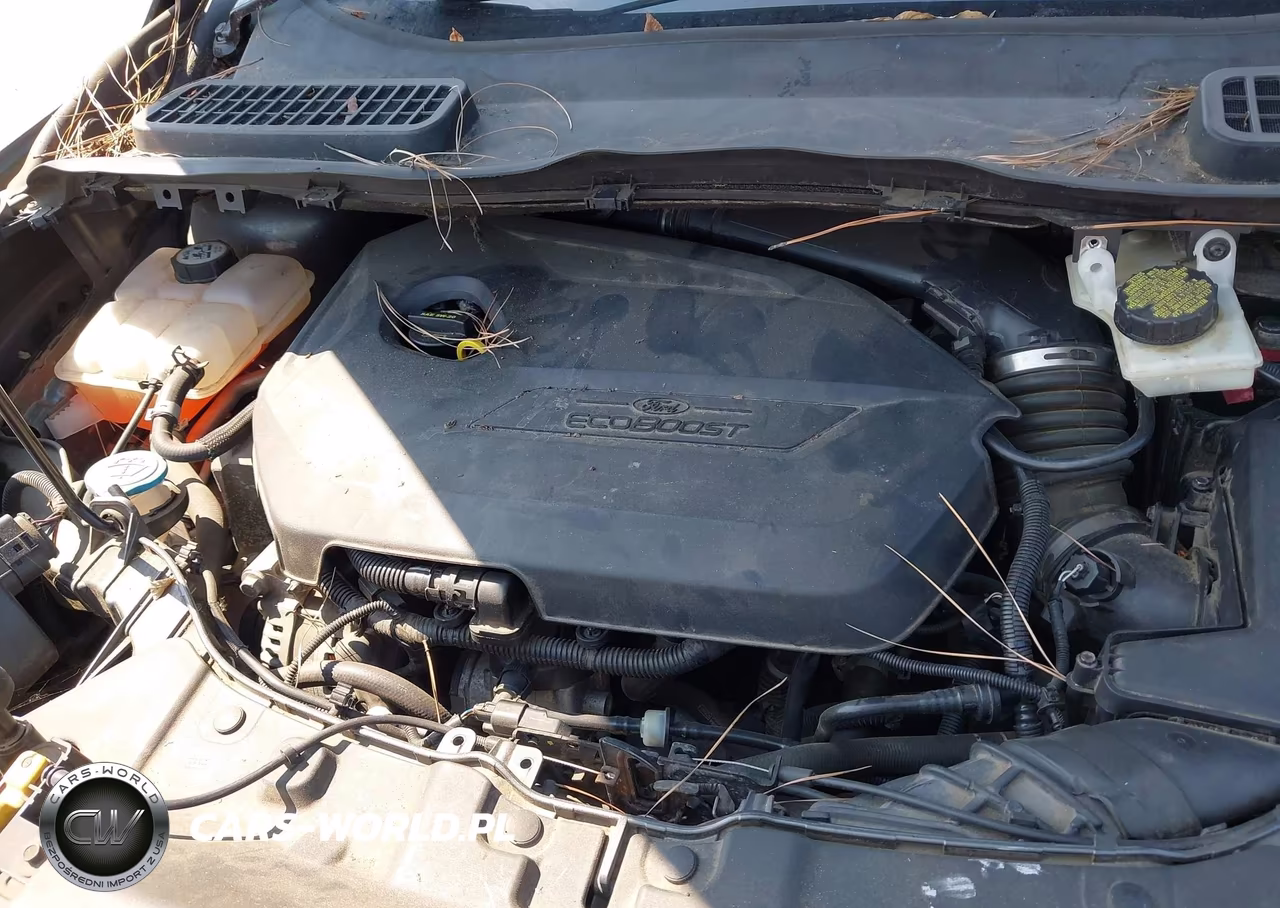 2014 Ford Escape Titanium VIN:1FMCU0JX3EUE20165 - 10