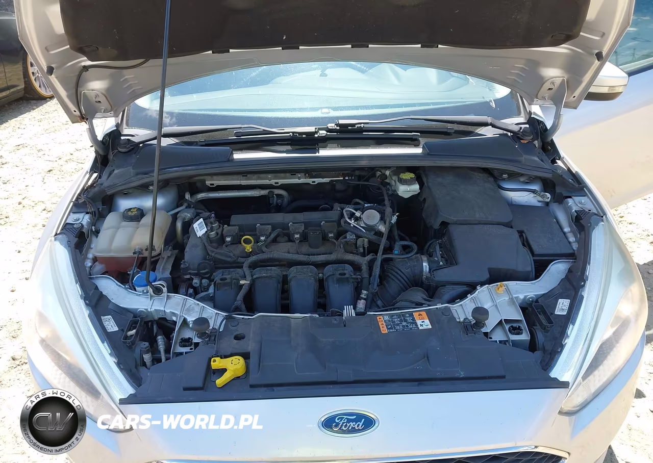 2017 Ford Focus Se VIN:1FADP3F21HL212073 - 10