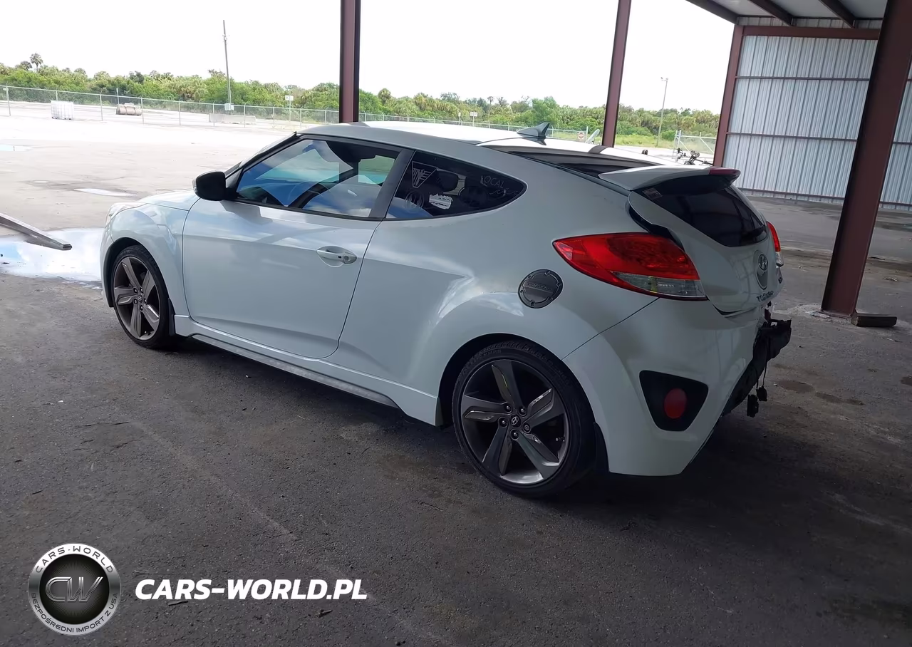 2015 Hyundai Veloster Turbo VIN:KMHTC6AE5FU243088 - 3