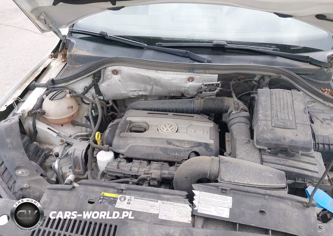 2016 Volkswagen Tiguan S VIN:WVGBV7AX5GW600885 - 10