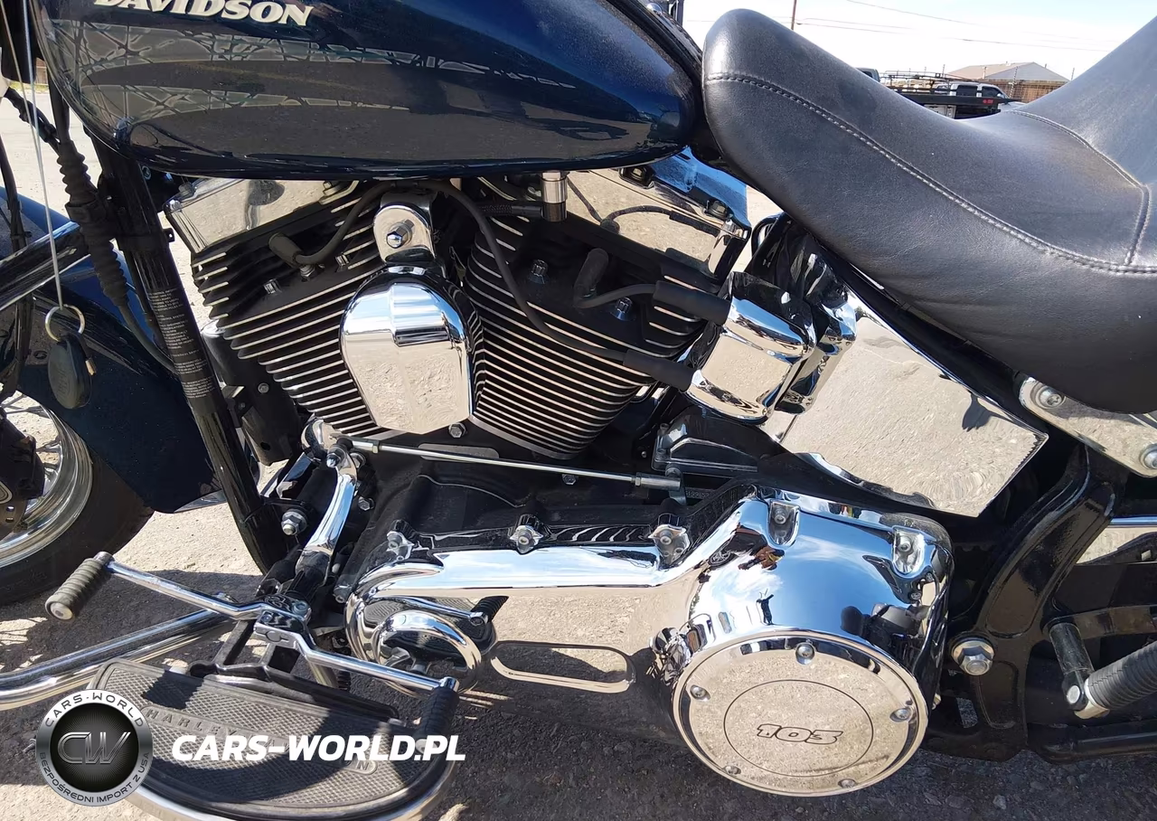 2016 Harley-Davidson Flstc Heritage Softail Classic VIN:1HD1BWV13GB045160 - 9
