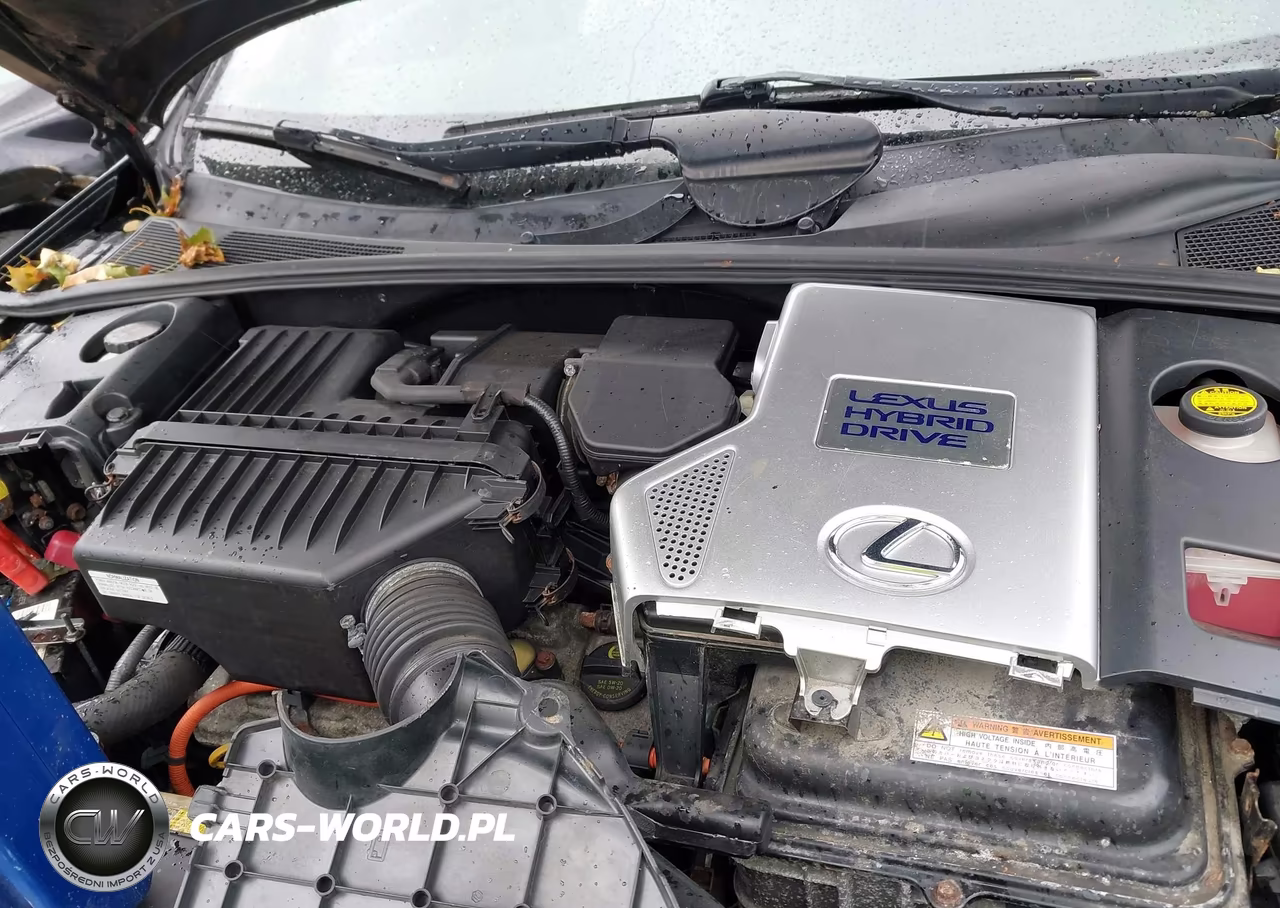 2008 Lexus Rx 400H VIN:JTJHW31U682069602 - 10