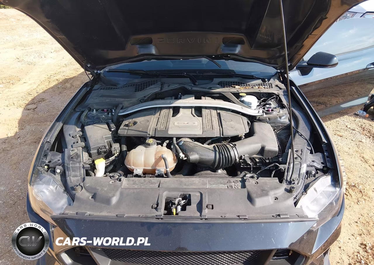 2019 Ford Mustang Gt VIN:1FA6P8CF5K5168863 - 10