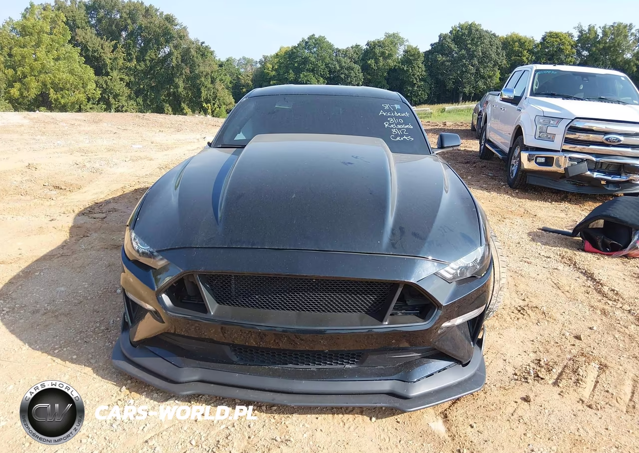 2019 Ford Mustang Gt VIN:1FA6P8CF5K5168863 - 11
