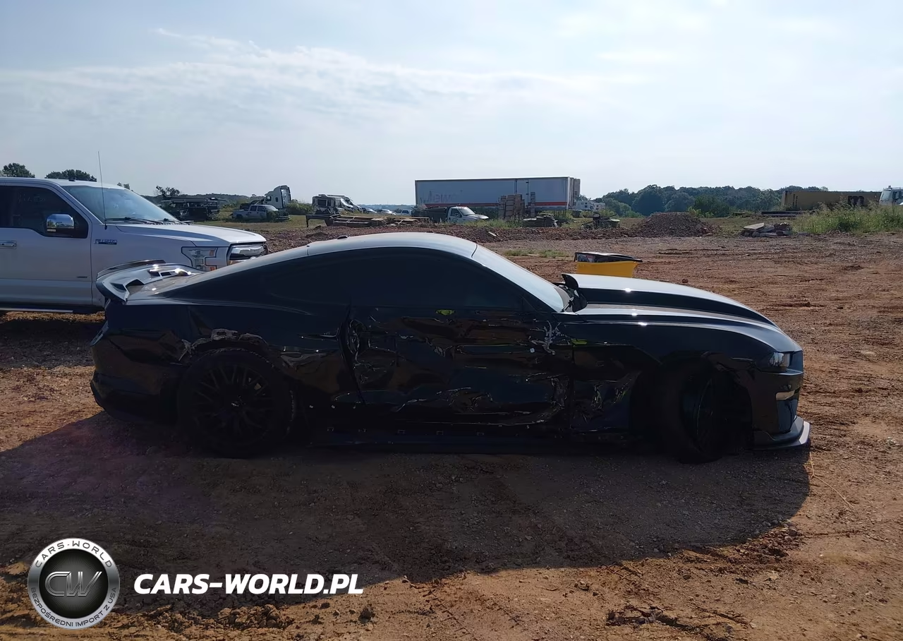 2019 Ford Mustang Gt VIN:1FA6P8CF5K5168863 - 12