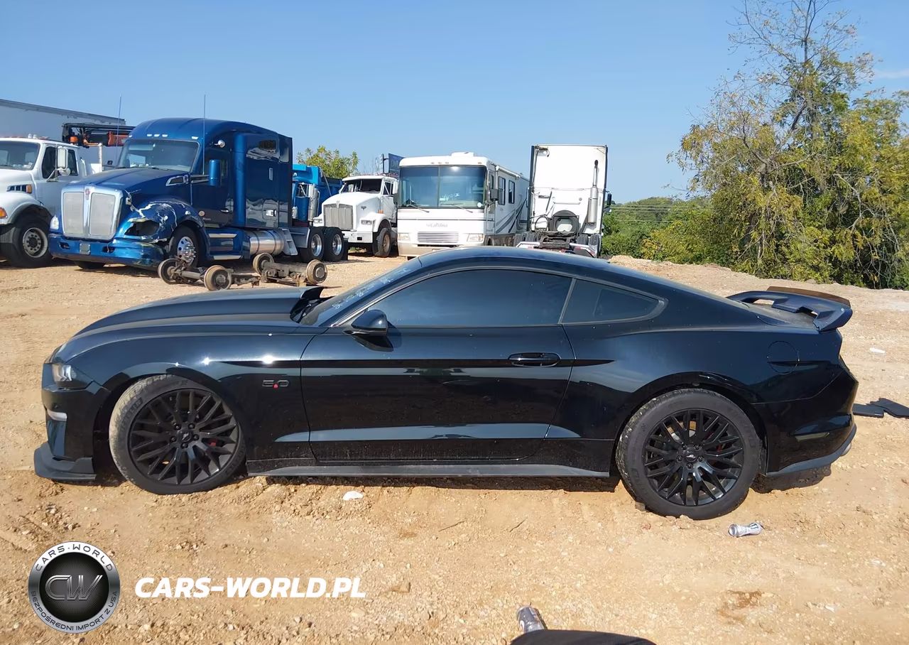2019 Ford Mustang Gt VIN:1FA6P8CF5K5168863 - 13