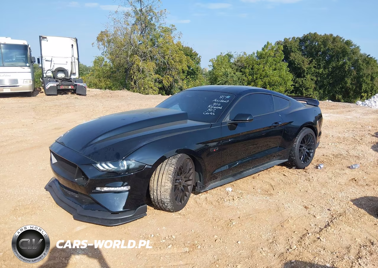 2019 Ford Mustang Gt VIN:1FA6P8CF5K5168863 - 2