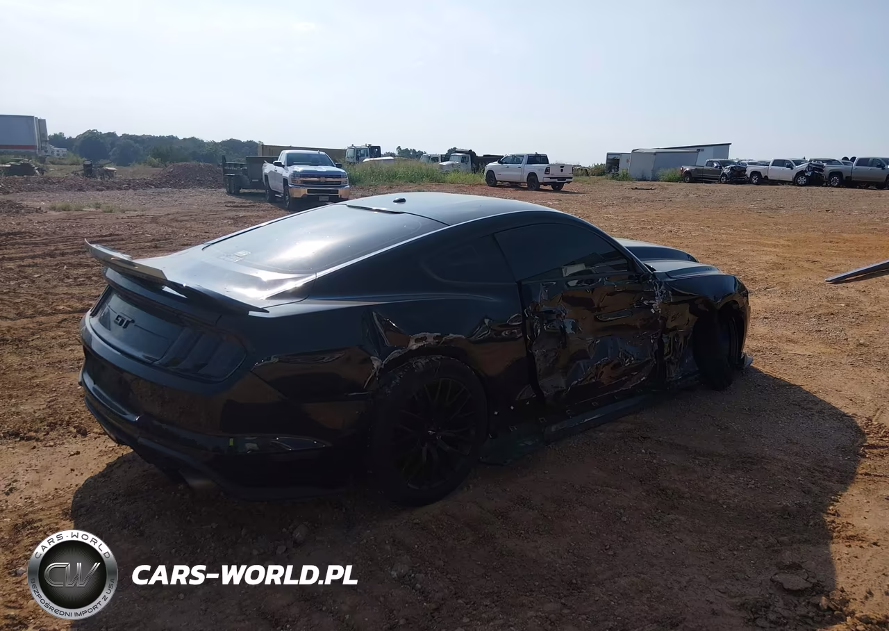 2019 Ford Mustang Gt VIN:1FA6P8CF5K5168863 - 4
