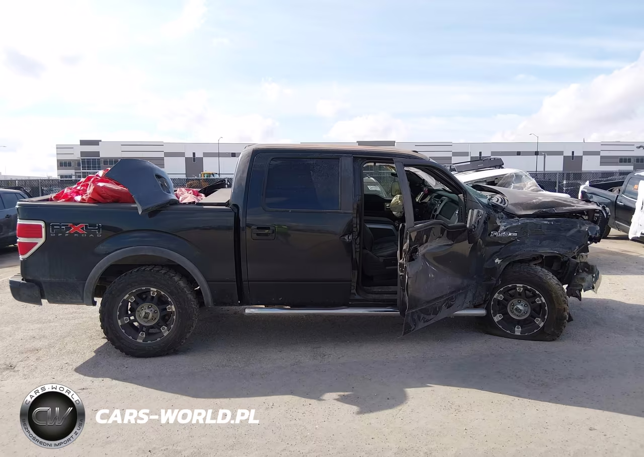 2010 Ford F-150 Fx4-Harley-Davidson-King Ranch-Lariat-Platinum-Xl-Xlt VIN:1FTFW1EV4AKA76247 - 12