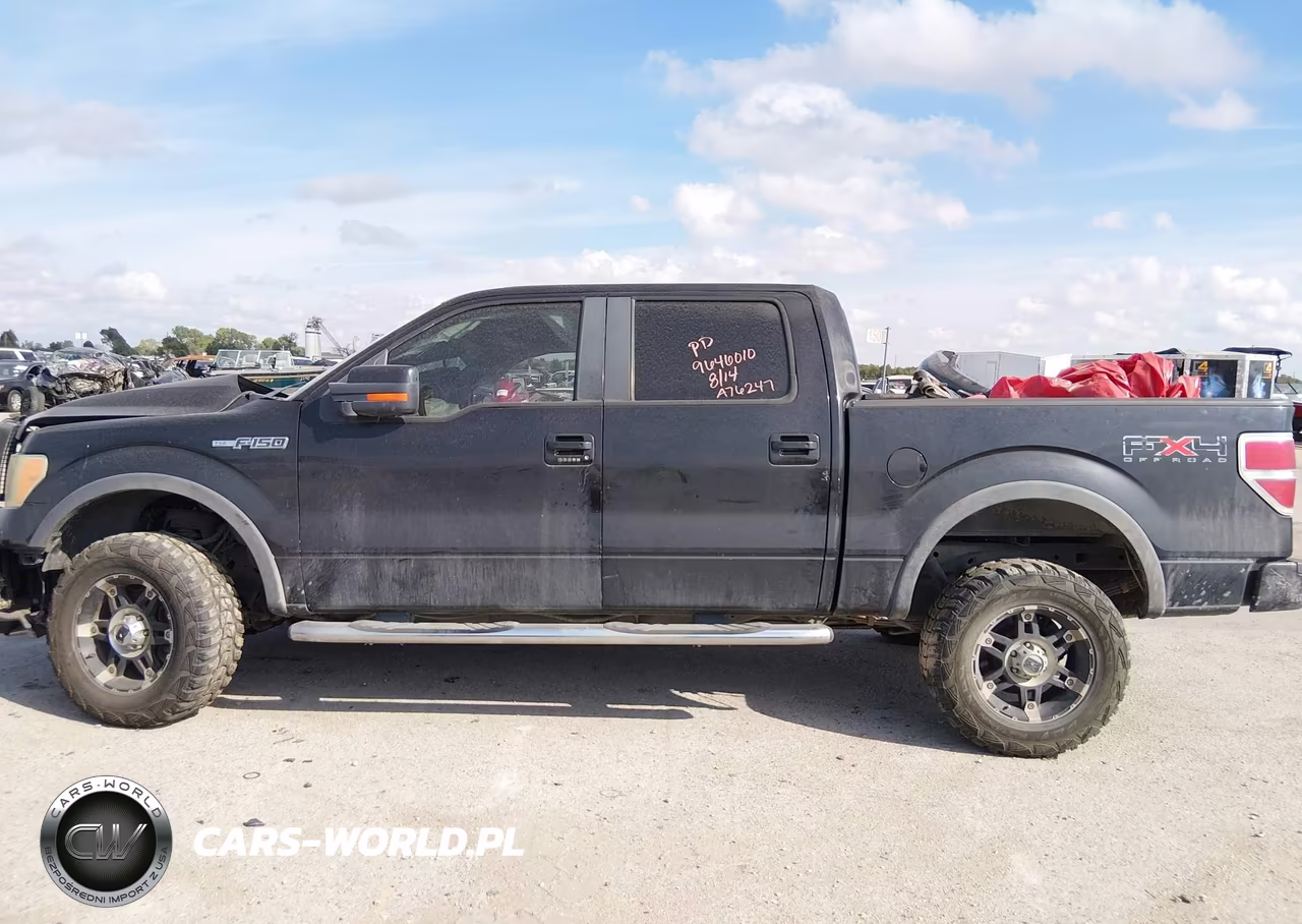 2010 Ford F-150 Fx4-Harley-Davidson-King Ranch-Lariat-Platinum-Xl-Xlt VIN:1FTFW1EV4AKA76247 - 13