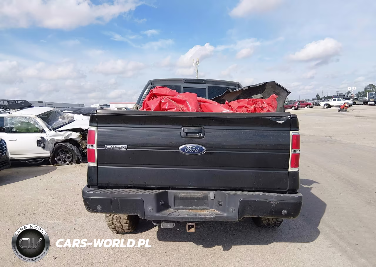 2010 Ford F-150 Fx4-Harley-Davidson-King Ranch-Lariat-Platinum-Xl-Xlt VIN:1FTFW1EV4AKA76247 - 15