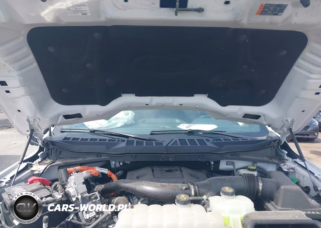 2023 Ford F-150 Xlt VIN:1FTFW1ED2PFC84880 - 10