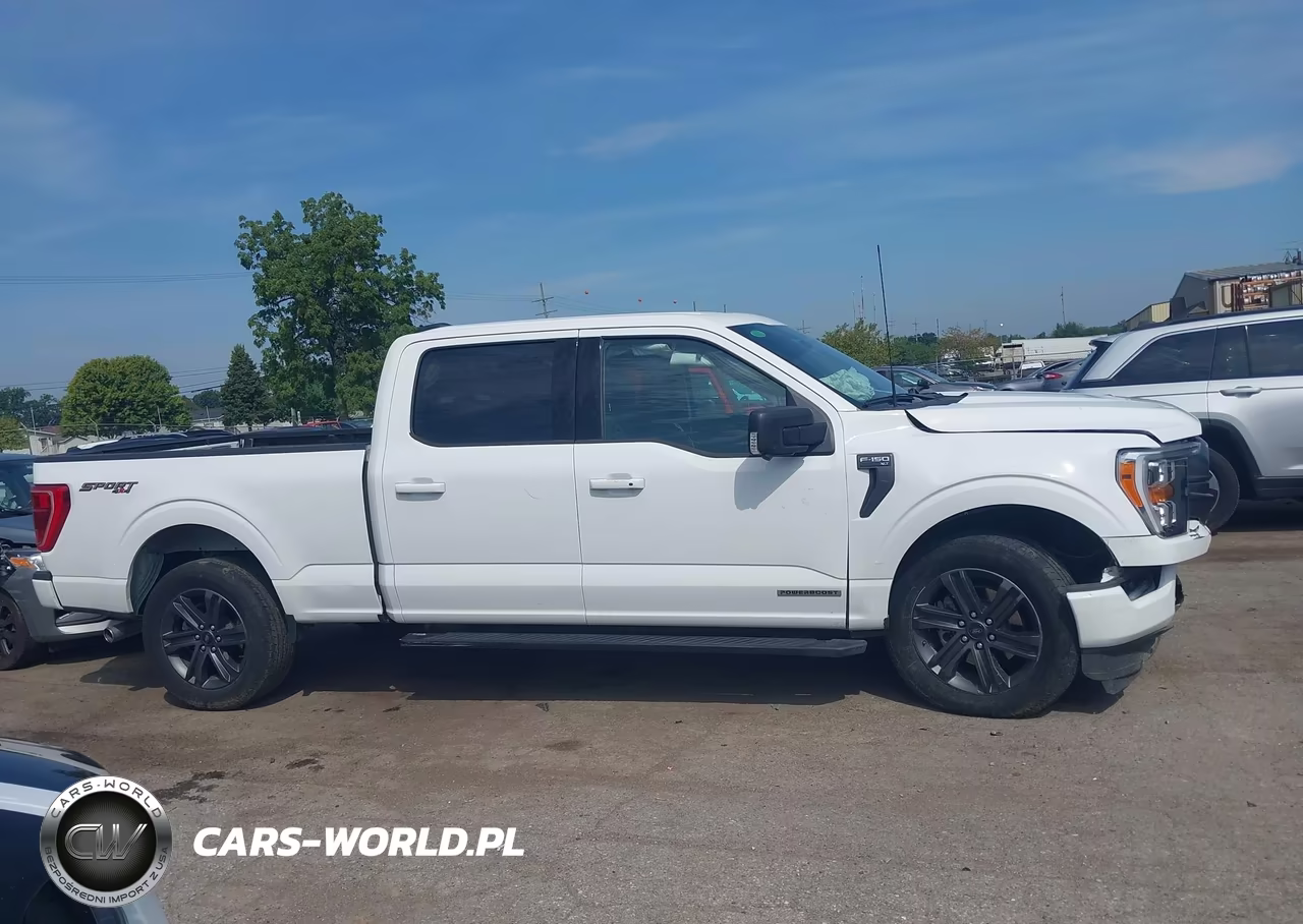 2023 Ford F-150 Xlt VIN:1FTFW1ED2PFC84880 - 13