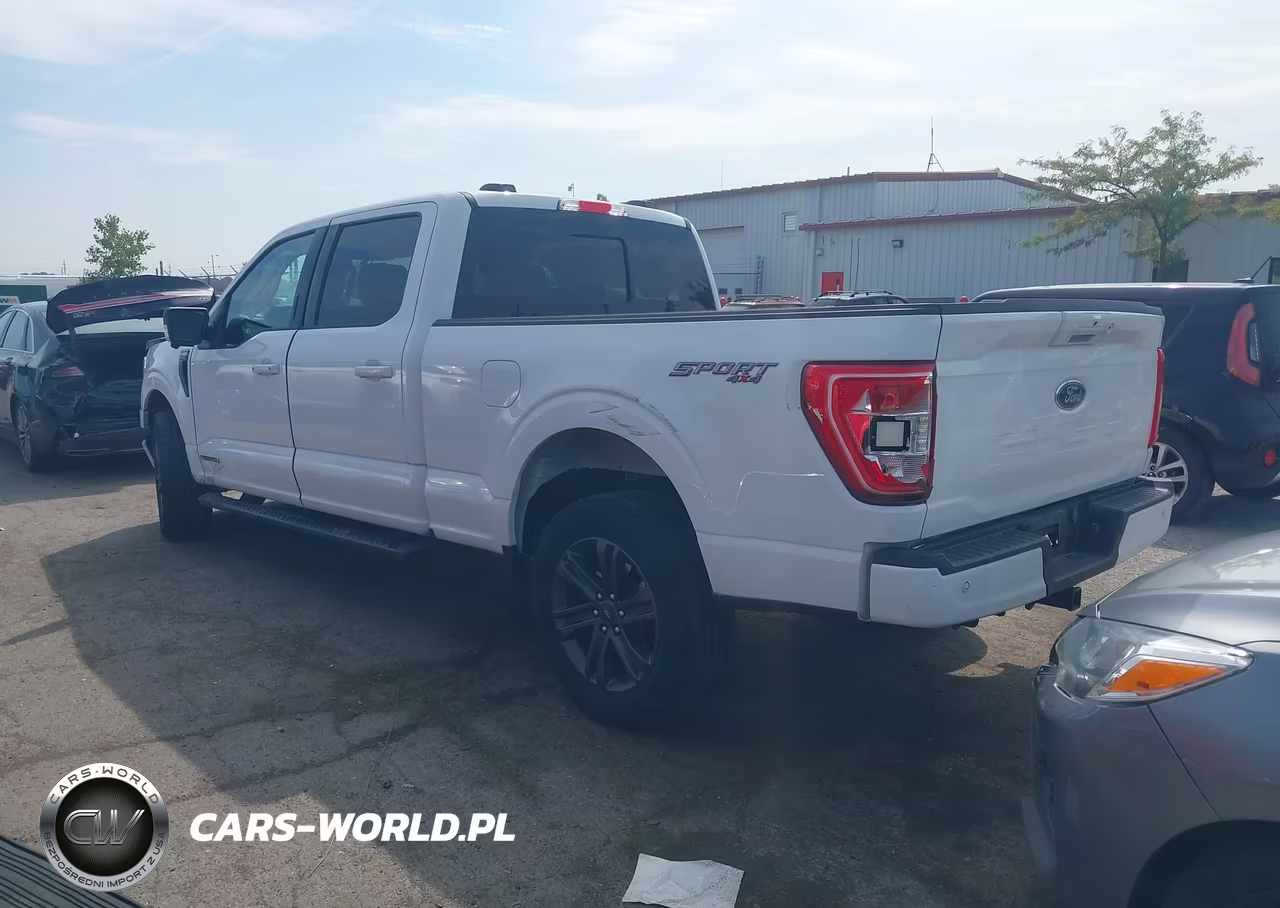 2023 Ford F-150 Xlt VIN:1FTFW1ED2PFC84880 - 3
