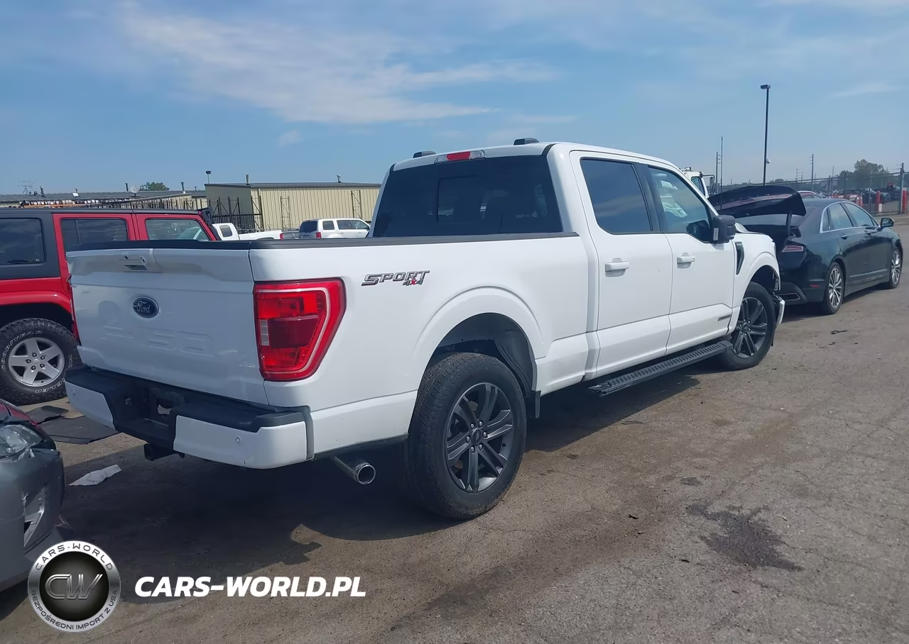 2023 Ford F-150 Xlt VIN:1FTFW1ED2PFC84880 - 4