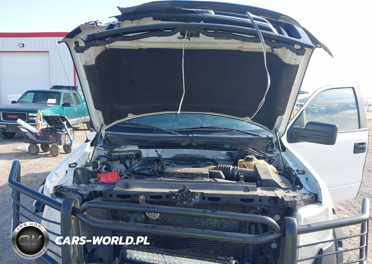 2013 Ford F-150 Xl VIN:1FTFX1EF1DFA55326 - 10