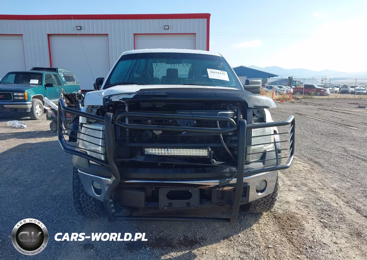 2013 Ford F-150 Xl VIN:1FTFX1EF1DFA55326 - 12