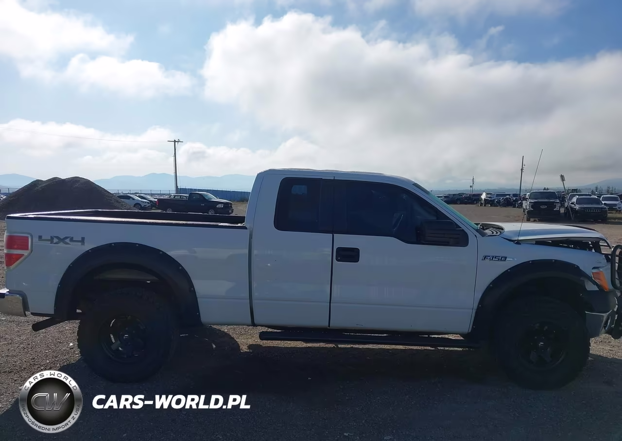 2013 Ford F-150 Xl VIN:1FTFX1EF1DFA55326 - 13