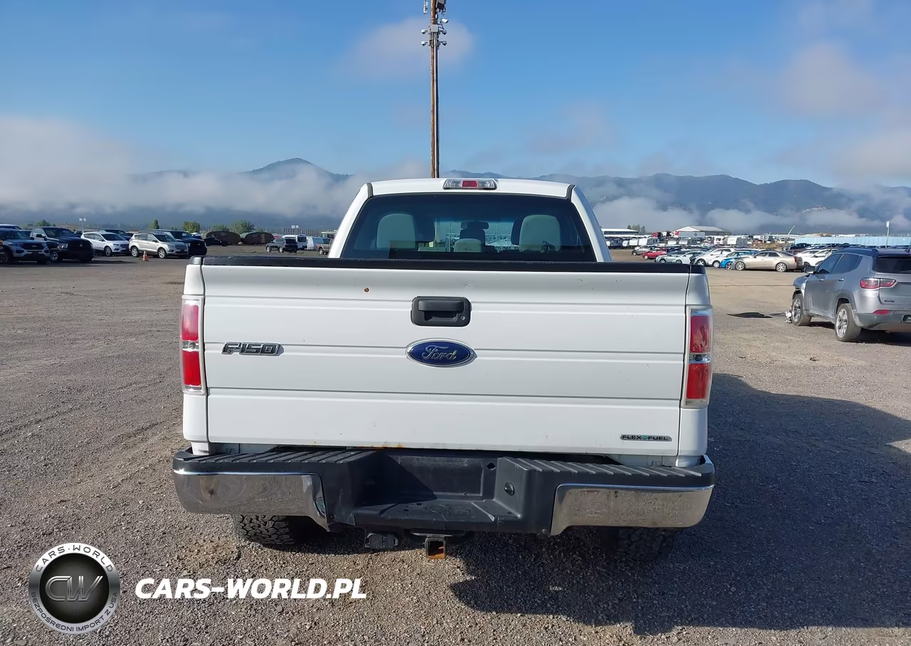 2013 Ford F-150 Xl VIN:1FTFX1EF1DFA55326 - 16