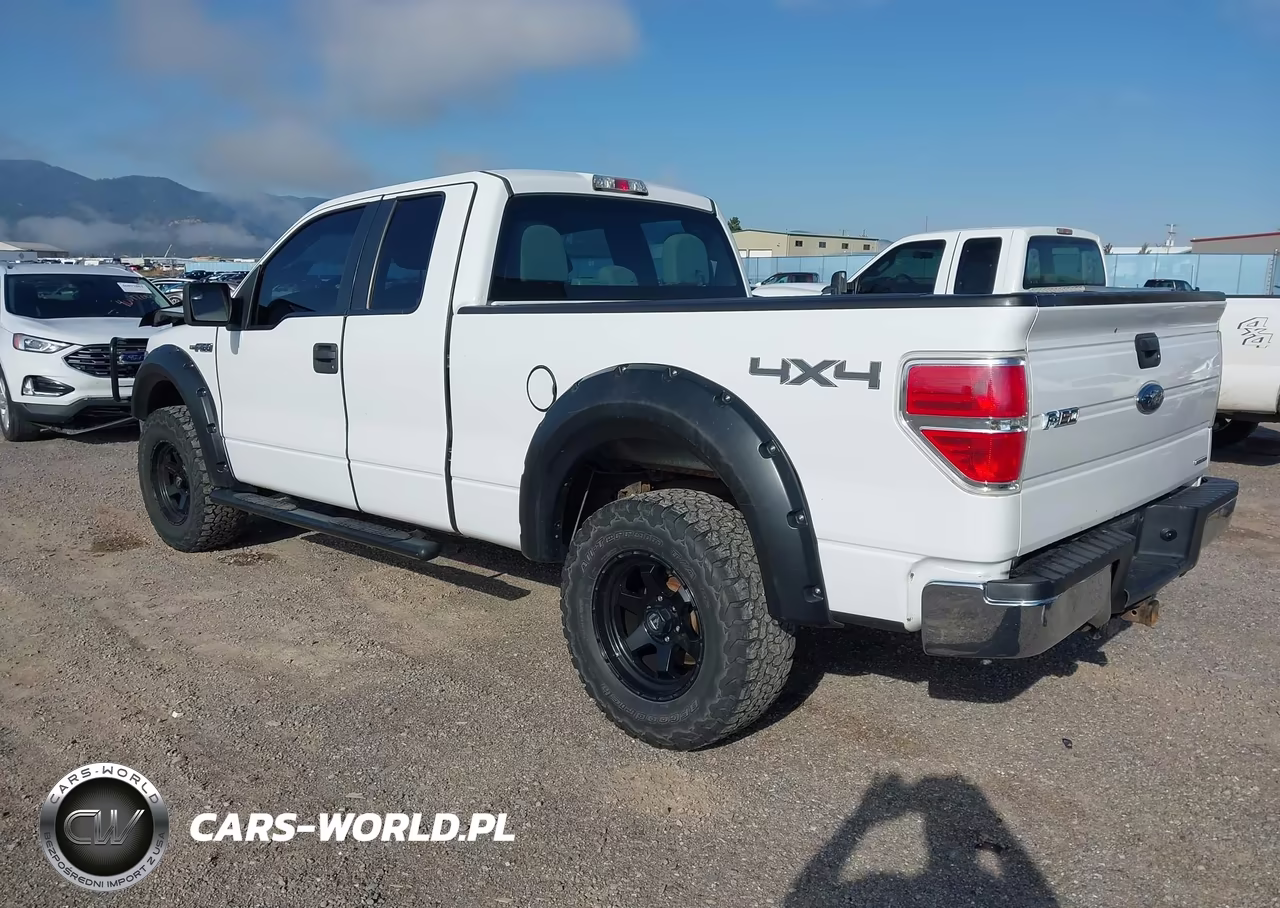 2013 Ford F-150 Xl VIN:1FTFX1EF1DFA55326 - 3