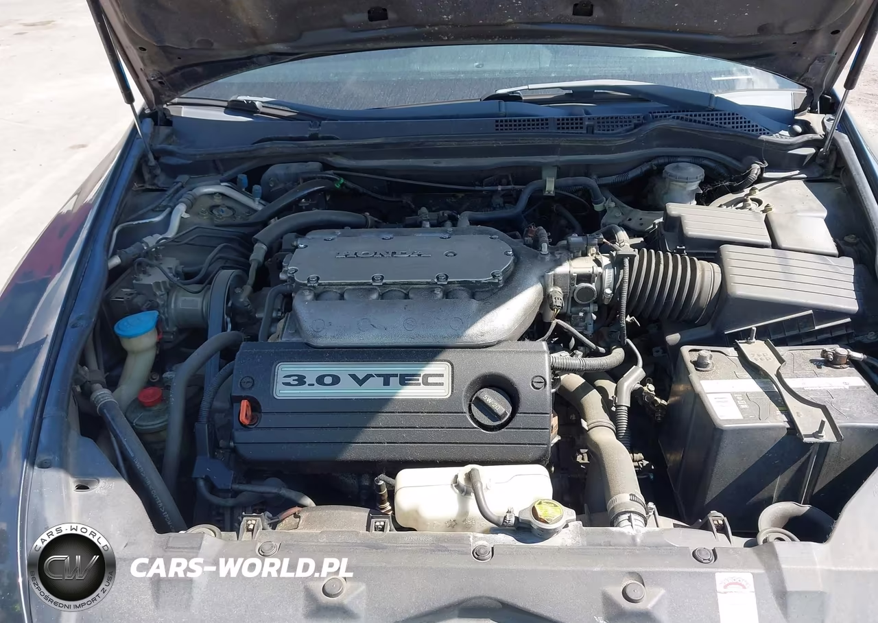2004 Honda Accord 3.0 Ex VIN:1HGCM66534A093668 - 10