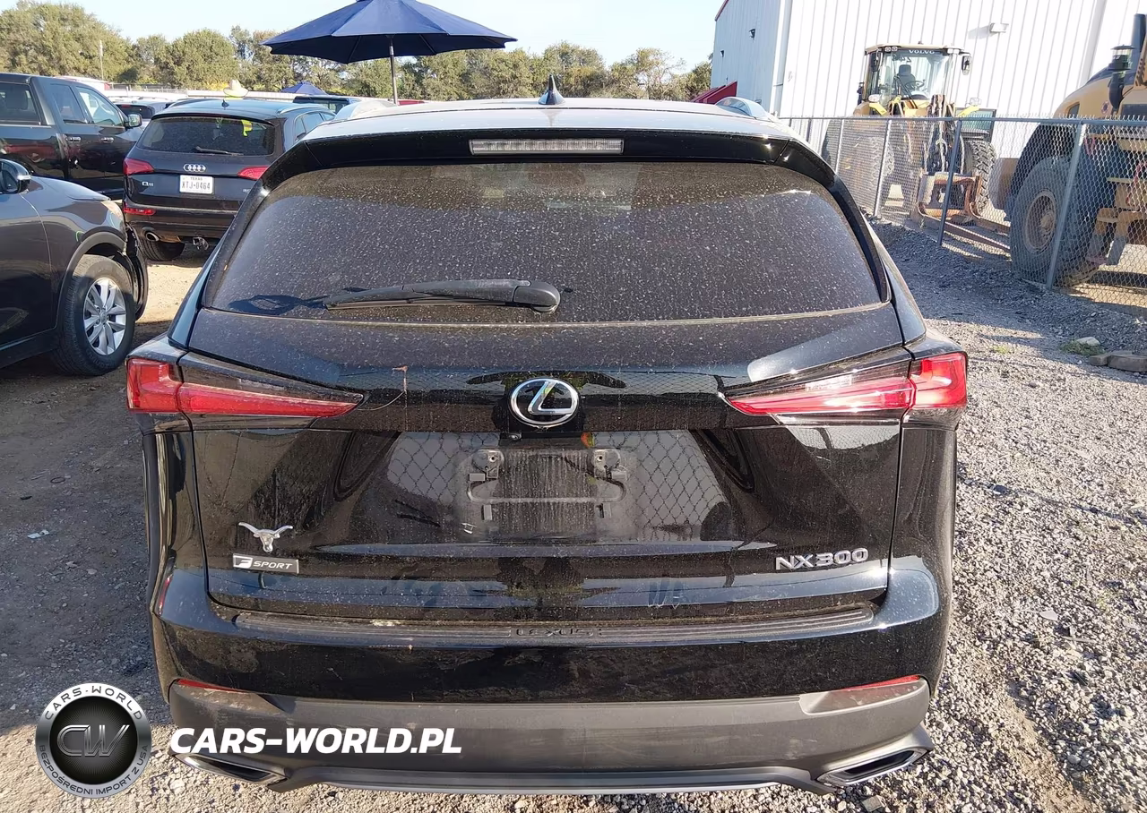 2021 Lexus Nx 300 F Sport VIN:JTJSARBZ8M2197691 - 16