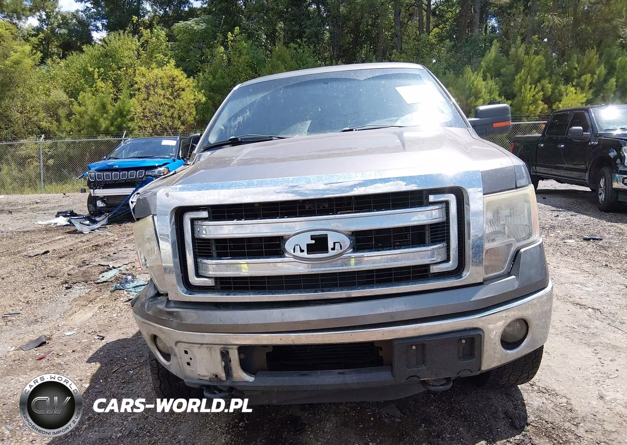 2014 Ford F-150 Xlt VIN:1FTFW1ET5EKE40728 - 12