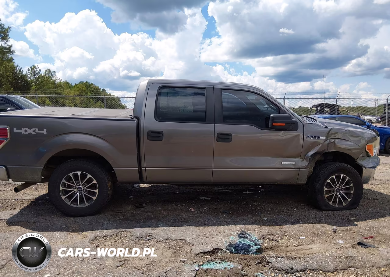 2014 Ford F-150 Xlt VIN:1FTFW1ET5EKE40728 - 13