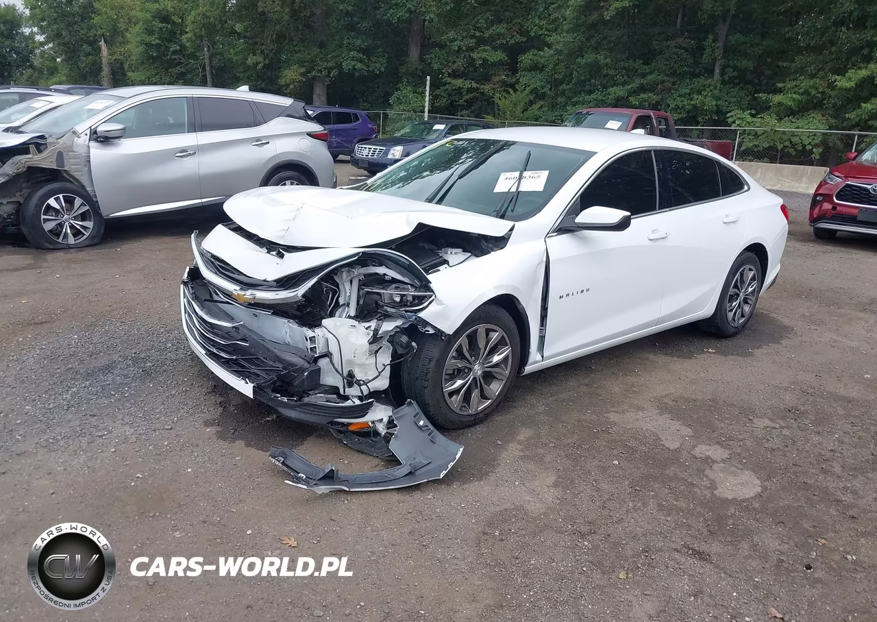 2024 Chevrolet Malibu Fwd 1Lt VIN:1G1ZD5ST3RF152891 - 2