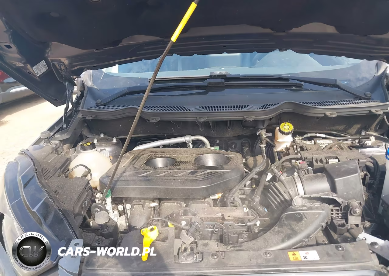 2020 Ford Ecosport Ses VIN:MAJ6S3JL9LC358396 - 10