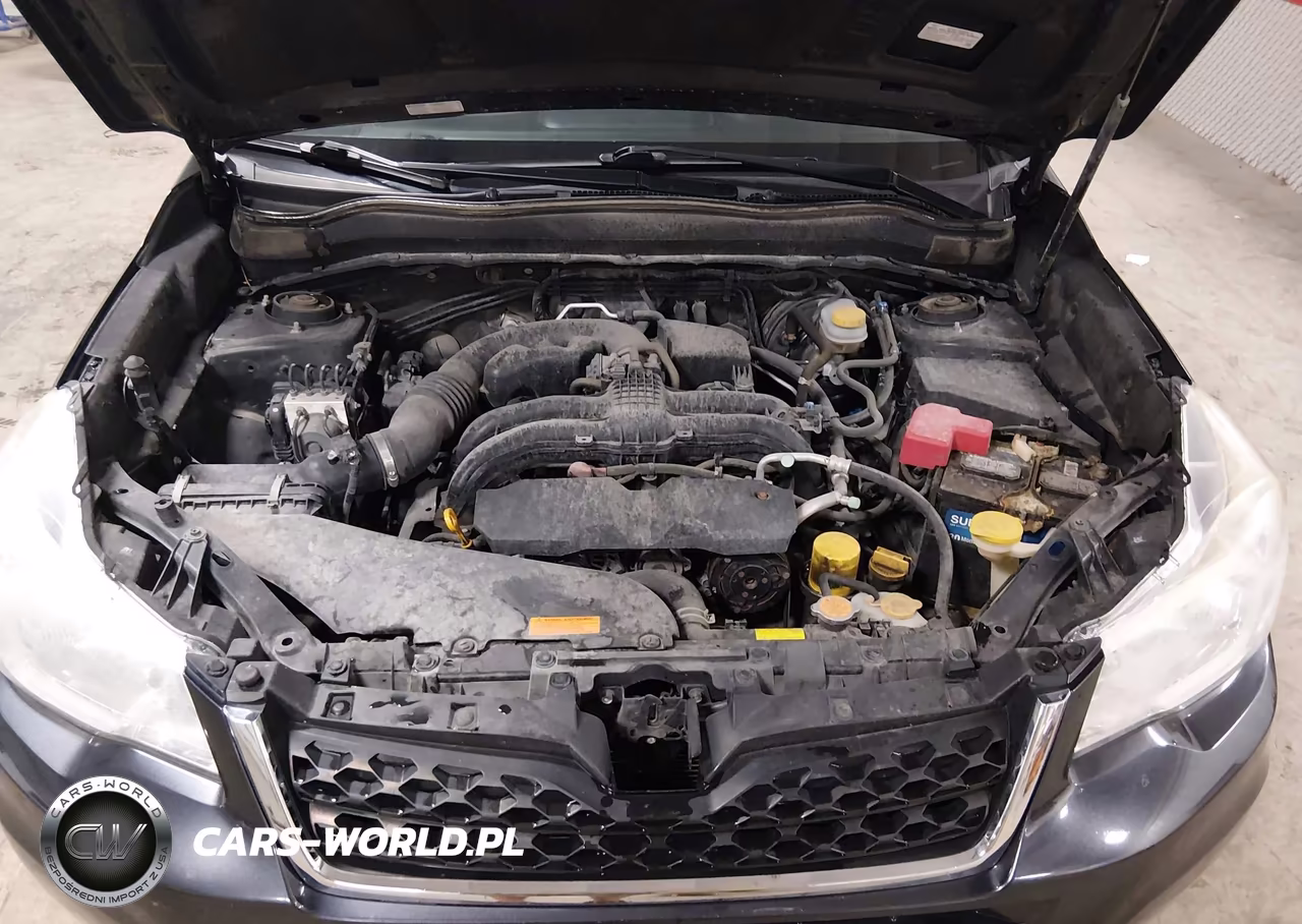 2015 Subaru Forester 2.5I Touring VIN:JF2SJAUC2FH504237 - 10