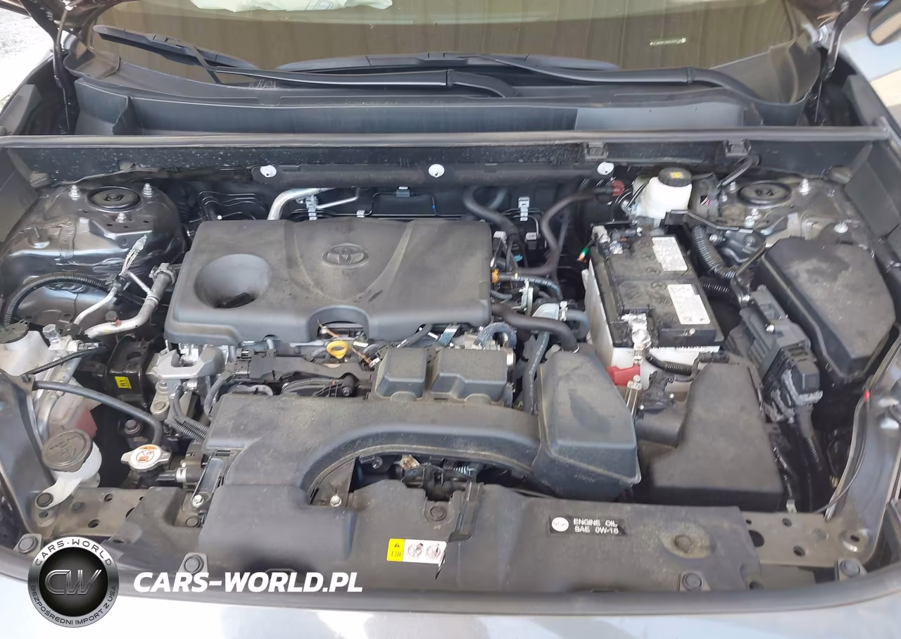 2025 Toyota Rav4 Xle VIN:2T3W1RFV8SC355710 - 10