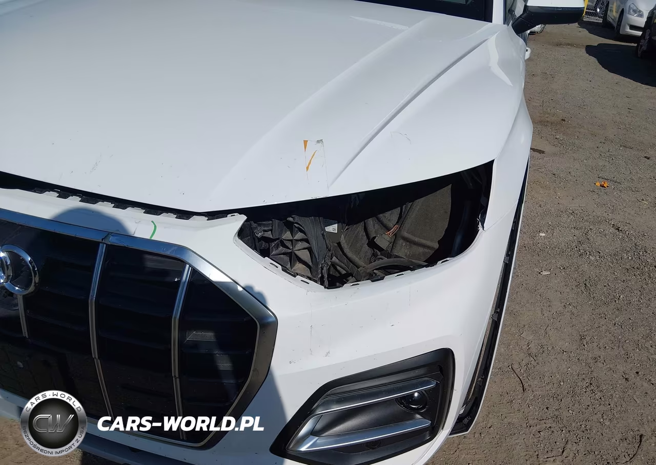 2021 Audi Q5 Premium Plus 45 Tfsi Quattro S Tronic VIN:WA1BAAFY2M2109606 - 17
