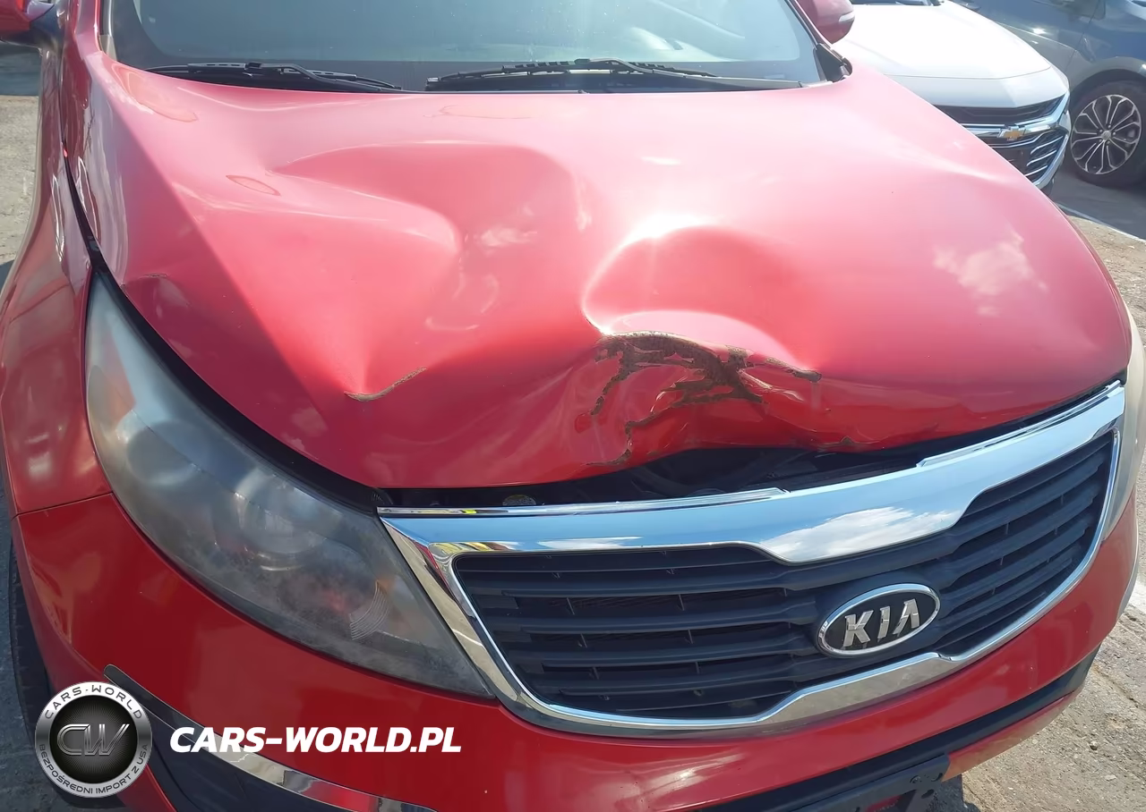 2012 Kia Sportage Lx VIN:KNDPB3A22C7196464 - 6