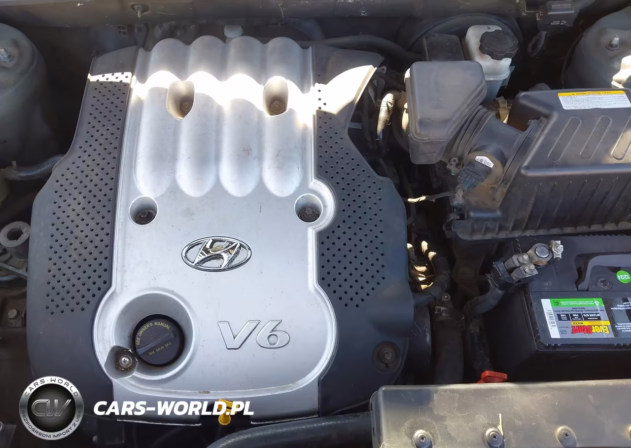2007 Hyundai Santa Fe Gls VIN:5NMSG13D37H010346 - 10