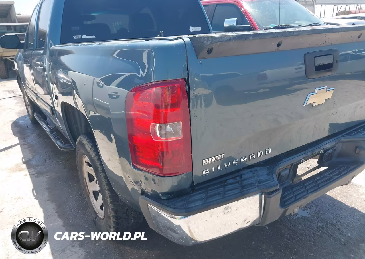 2010 Chevrolet Silverado 1500 Lt VIN:3GCRCSEA3AG131710 - 18