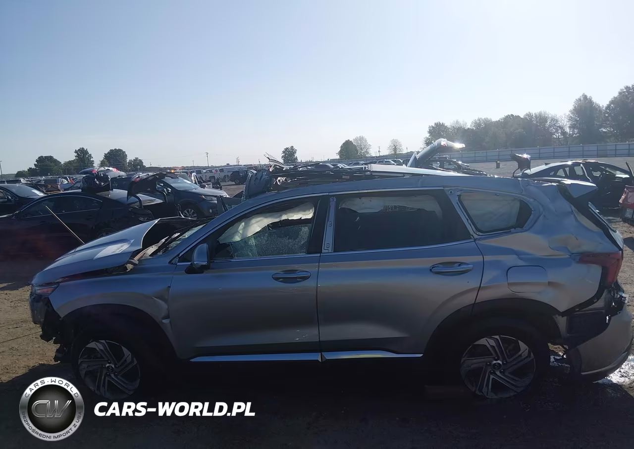 2023 Hyundai Santa Fe Sel VIN:5NMS3DAJ9PH532176 - 12