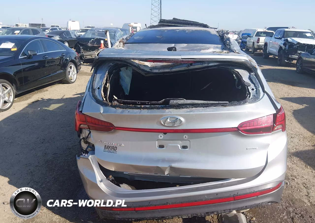2023 Hyundai Santa Fe Sel VIN:5NMS3DAJ9PH532176 - 13
