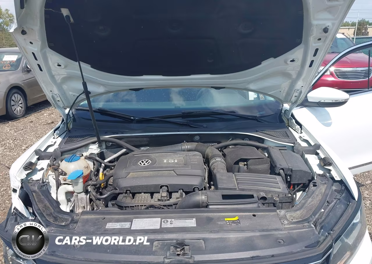 2016 Volkswagen Passat 1.8T S VIN:1VWAT7A39GC056134 - 10