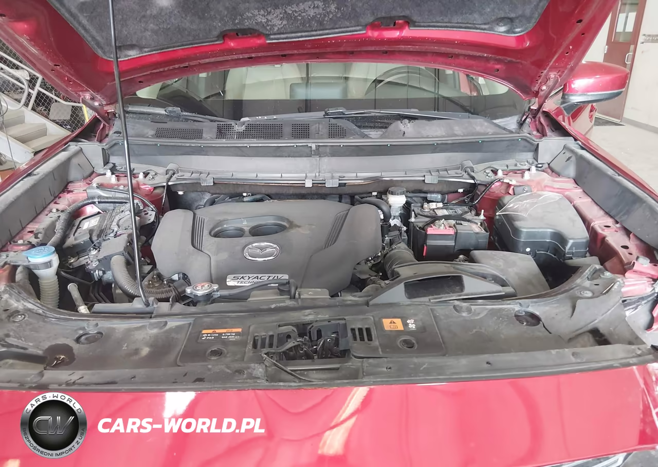 2016 Mazda Cx-9 Touring VIN:JM3TCACY0G0105361 - 10