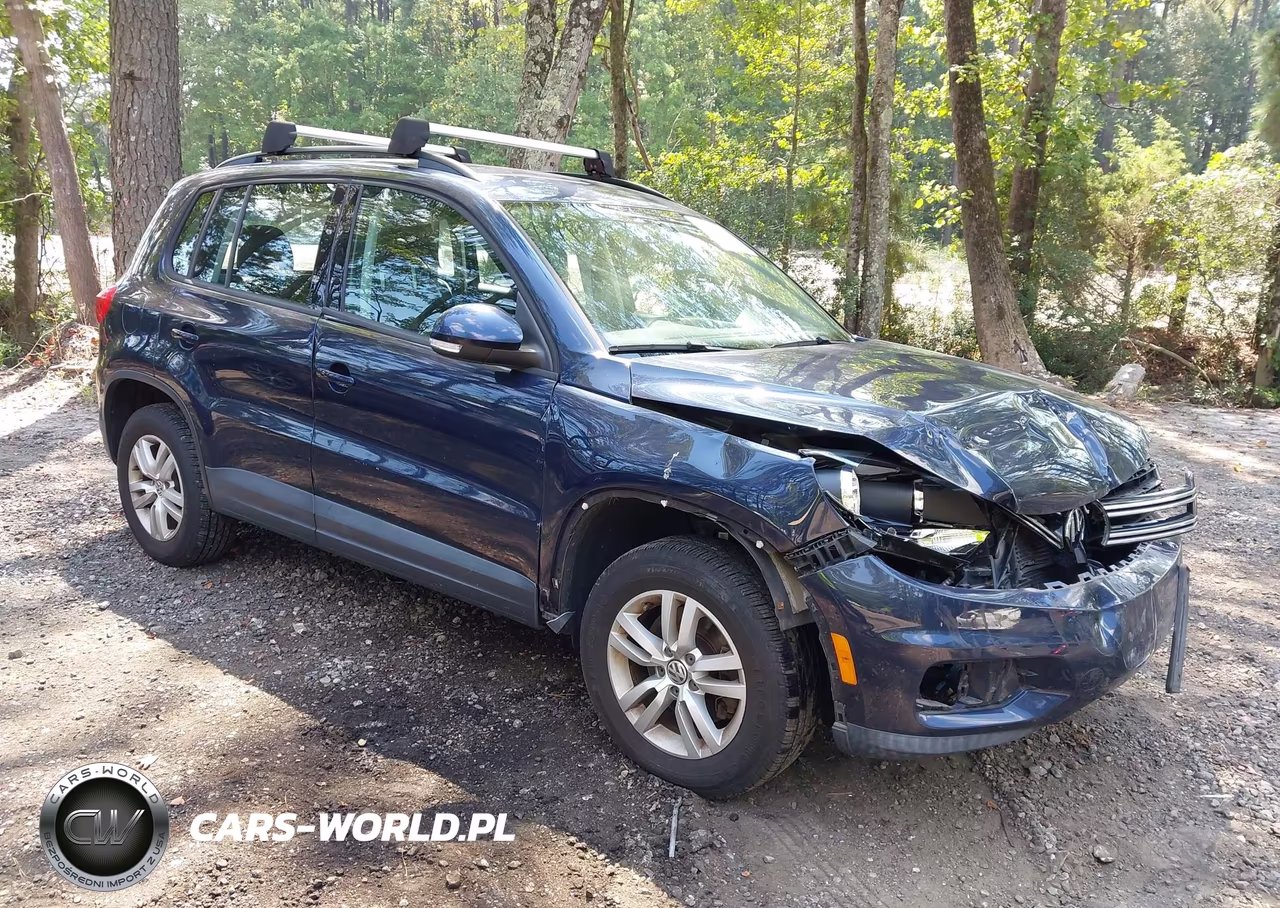 2016 Volkswagen Tiguan S VIN:WVGAV7AX6GW533905 - 1