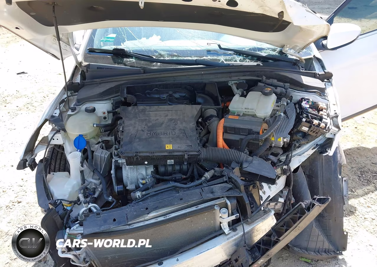 2017 Hyundai Ioniq Hybrid Sel VIN:KMHC75LC8HU048115 - 10